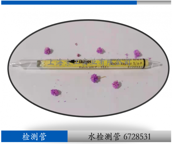 德?tīng)柛袼畽z測(cè)管6728531